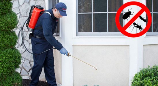 Gümüşhacıköy Sivrisinek İlaçlama böcek ilaçlama ve haşere kontrolü — ilaclama-tr.com